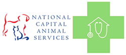 National Capital Animal Services